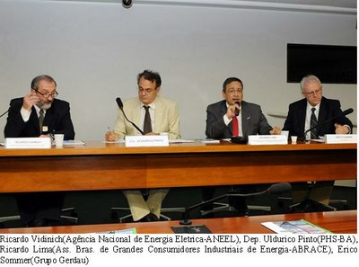 Audiência ANEEL - 24-03-2010