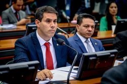 Aprovado na Cdeics projeto de lei que proíbe coleira de choque para cachorros 