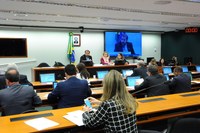 CDEICS aprova emendas à LDO 2018 e abre debate sobre Economia Criativa. 