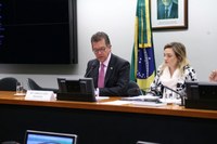 Comissão de Desenvolvimento aprova emendas à LDO