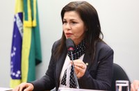 Comissão libera free shops em cidades que fazem fronteira com outros países