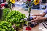 Deputados visitam nova unidade de agricultura de precisão da Embrapa em São Carlos (SP)