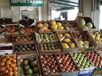 Desenvolvimento Econômico e Agricultura debatem estímulo à produção e exportação de frutas