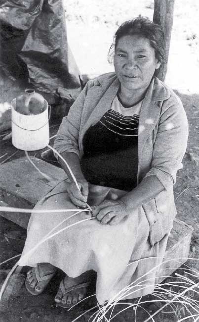 Após manifestação da CDHM, STF suspende despejo de indígenas no Paraná