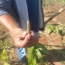 Ataques contra indígenas no Mato Grosso do Sul