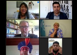 Audiência com Alto Comissariado da ONU para Direitos Humanos aborda o garimpo na Terra Indígena Yanomami