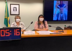 Audiência pública aborda vulnerabilidade de povos indígenas e quilombolas durante a pandemia