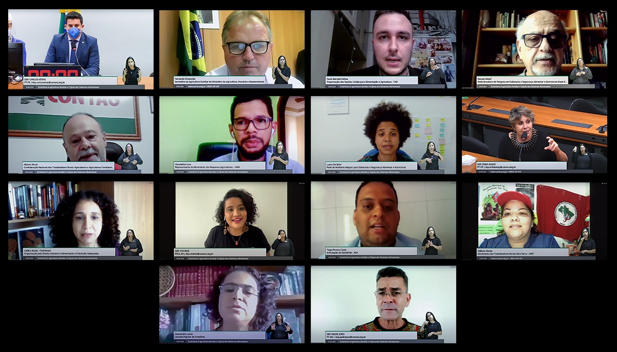 Audiência Pública debate importância de incentivos à agricultura familiar e Cúpula de Sistemas Alimentares da ONU