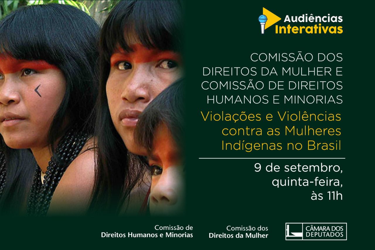 Audiência Pública debate violações e violências contra mulheres indígenas 
