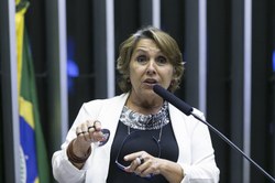 Audiência pública discute retrocessos nas políticas de saúde mental e dependência química