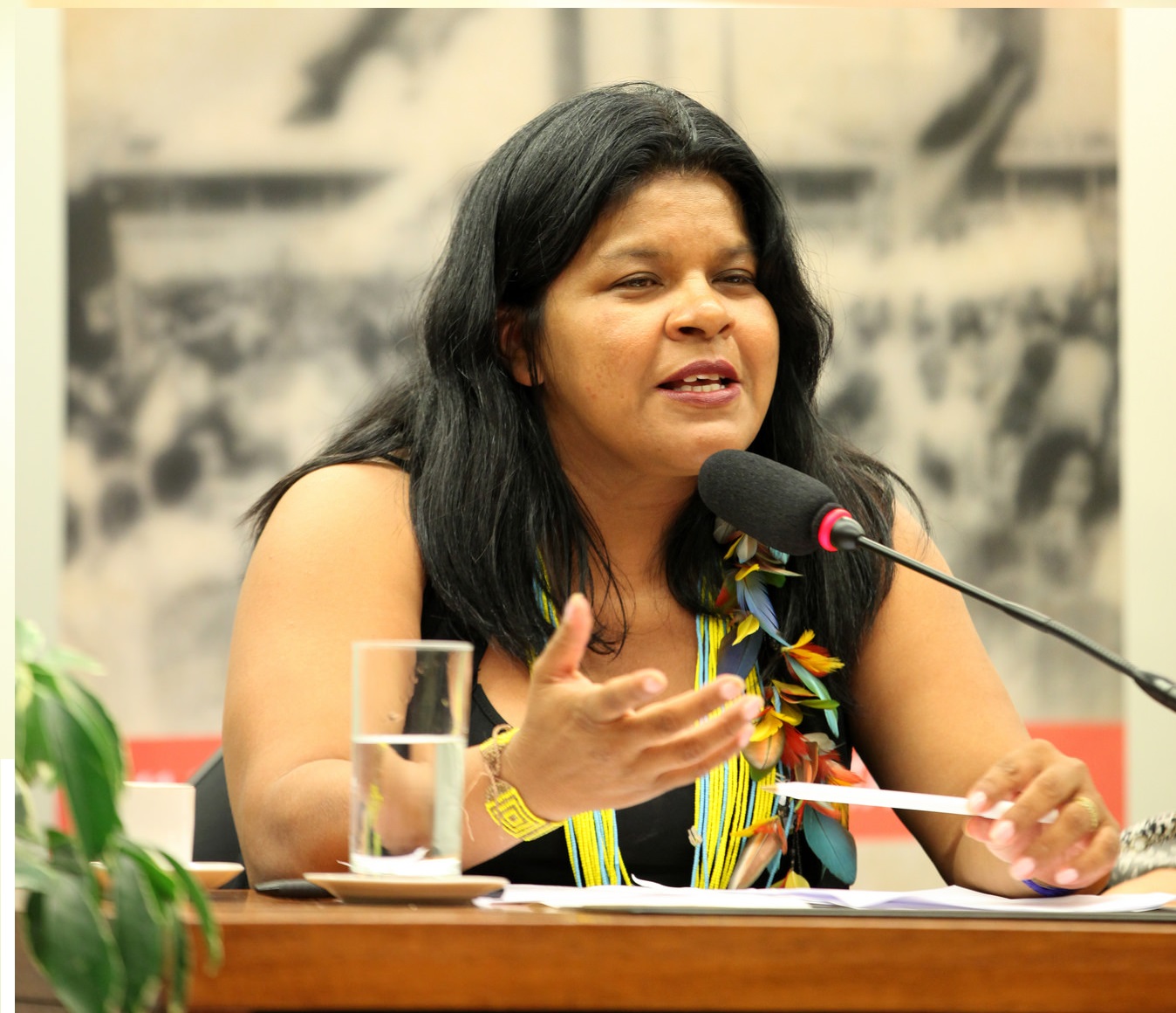 CDHM apoia mobilização indígena