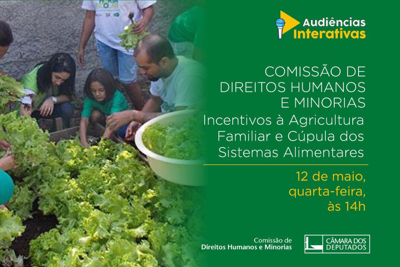 CDHM debaterá a importância dos incentivos à agricultura familiar no enfrentamento à fome e a Cúpula de Sistemas Alimentares da ONU