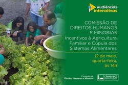 CDHM debaterá a importância dos incentivos à agricultura familiar no enfrentamento à fome e a Cúpula de Sistemas Alimentares da ONU