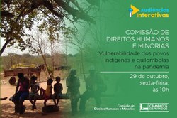 CDHM debaterá vulnerabilidade dos Povos Indígenas e Quilombolas na pandemia