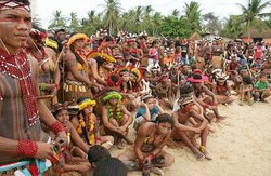 CDHM pede a Funai explicações sobre processos de terras indígenas na Bahia e Rio Grande do Sul