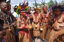 CDHM pede apuração de violação de direitos indígenas no sul da Bahia