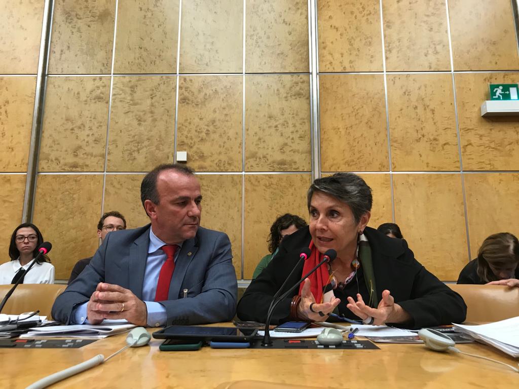 CDHM quer cooperação permanente com a ONU para acompanhar e denunciar violações de direitos humanos no Brasil; comitiva participa de evento paralelo com a sociedade civil