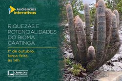 CDHM realizou Audiência Pública Conjunta com a CMADS sobre "Riqueza e Potencialidades do Bioma Caatinga"