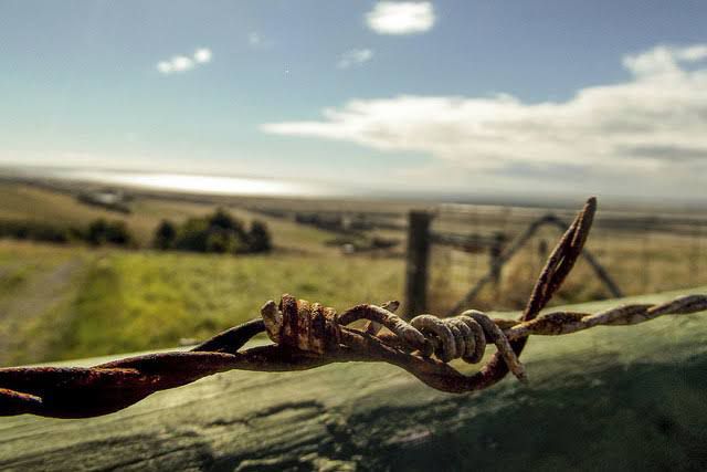 CNJ criará Grupo de Trabalho para trabalhar em manual com diretrizes para casos de reintegração de posse