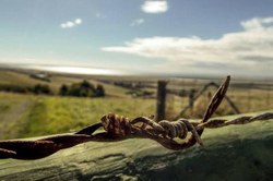 CNJ criará Grupo de Trabalho para trabalhar em manual com diretrizes para casos de reintegração de posse