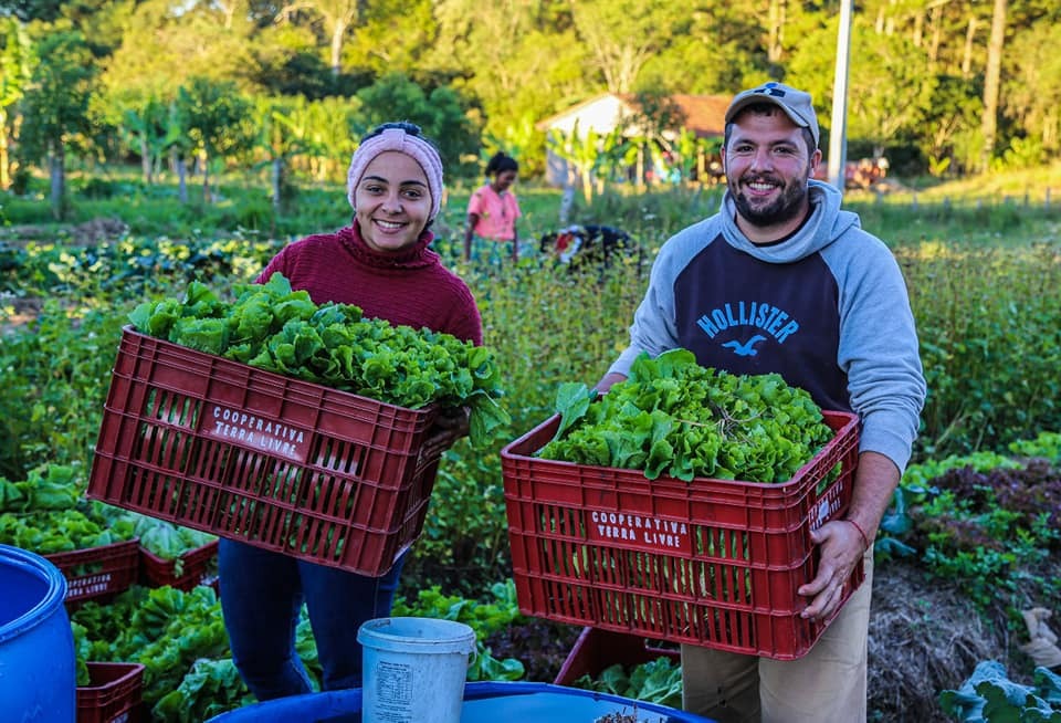 Despejo do acampamento Maria Rosa do Contestado é revogado 