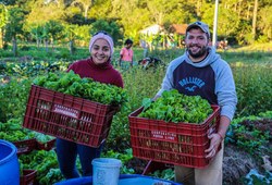 Despejo do acampamento Maria Rosa do Contestado é revogado 