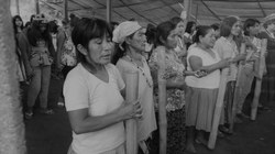 Funai confirma que não vai recorrer de decisão que anula demarcação no Paraná;  Presidente da CDHM mantém pedido de providências jurídicas no caso