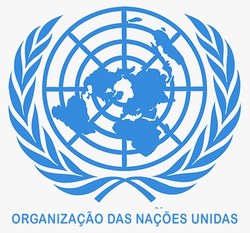 ONU pede revogação do decreto que acaba com a participação da sociedade civil no Executivo