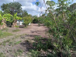 Presidência da CDHM pede que judiciário de Goiás proteja famílias ameaçadas de despejo