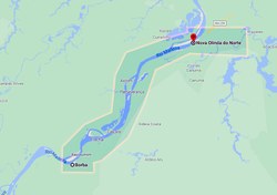 Presidência da CDHM recebe informações sobre atendimento psicossocial de comunidades indígenas e ribeirinhas no Amazonas 