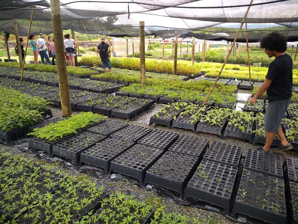 Presidência da CDHM reitera pedido para que justiça e governo de Minas Gerais evitem despejo em quilombo; remoção está prevista para quarta-feira