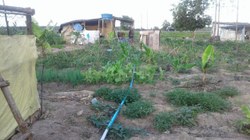 Presidência da CDHM tenta impedir despejo de acampamento marcado para o dia 16, no Espírito Santo