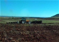 Presidente da CDHM pede ao governo do Paraná investigação sobre destruição de lavoura