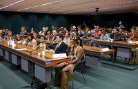 Relação entre direitos humanos e empresas carece de regulação, dizem participantes de audiência