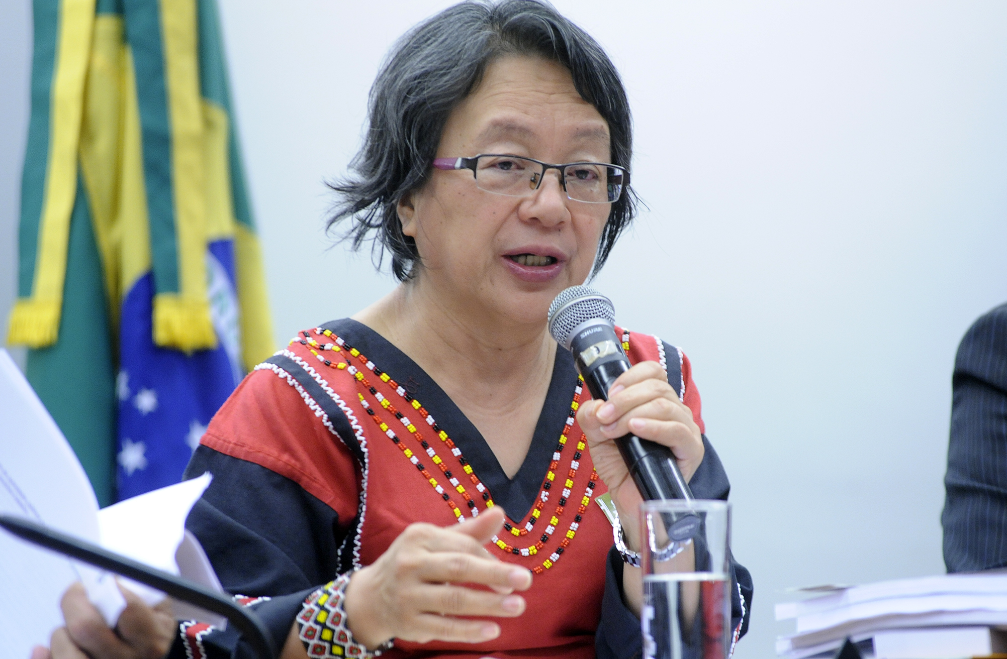 Relatora da ONU ouve relatos sobre violação dos direitos dos povos indígenas