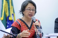 Relatora da ONU ouve relatos sobre violação dos direitos dos povos indígenas