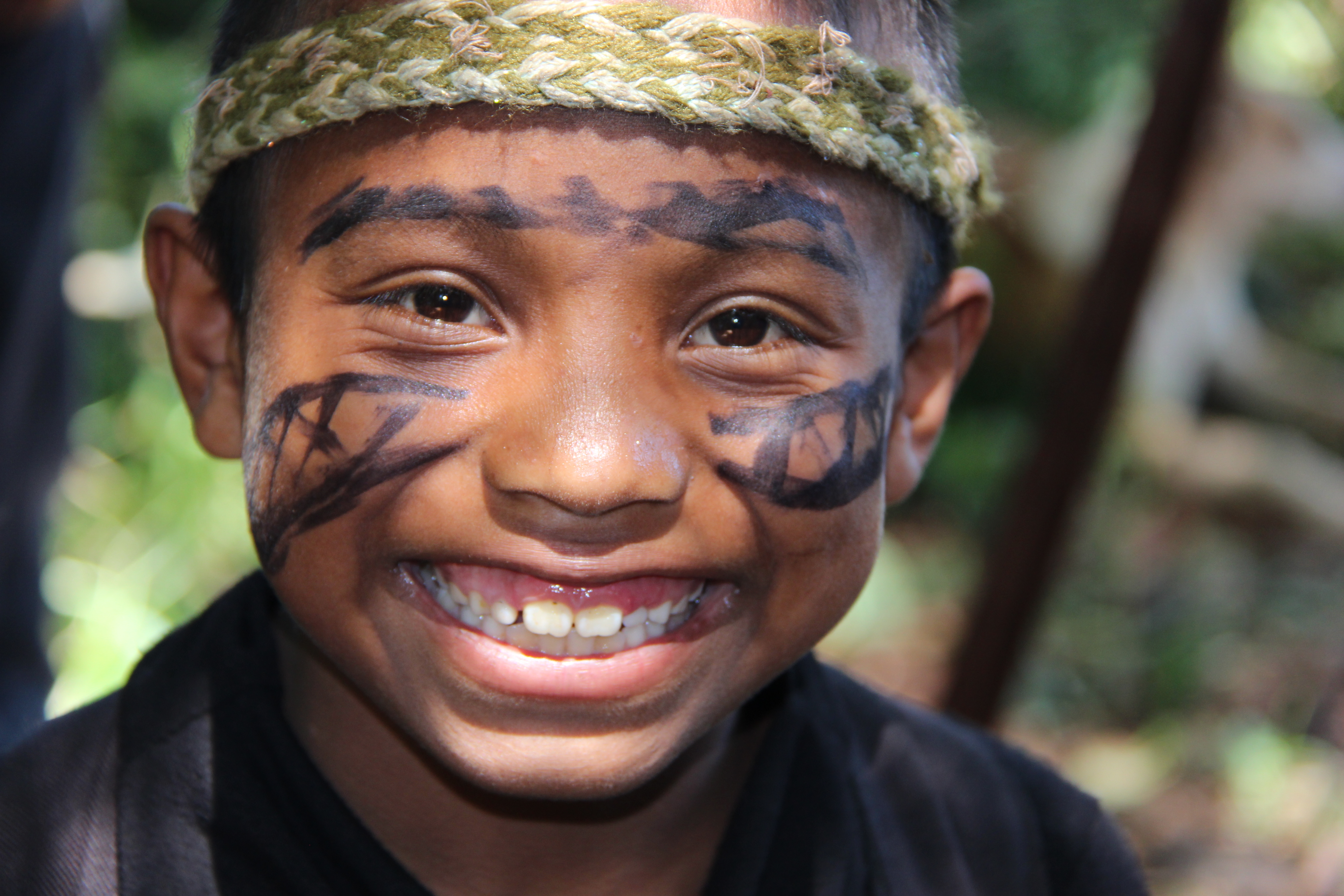 Relatora da ONU sobre direitos dos povos indígenas em visita o Brasil terá reunião na CDHM