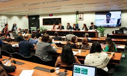 2019 na CDHM : Sociedade e parlamentares unem-se em defesa da segurança humana