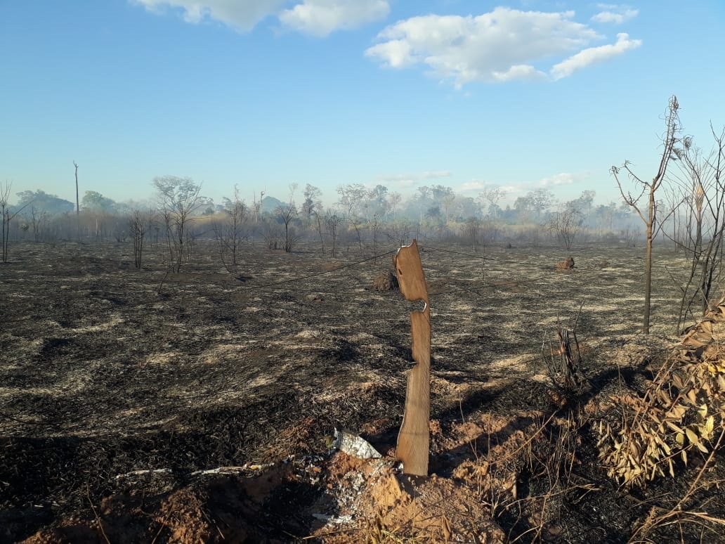 STF determina retirada de não indígenas de território Tapirapé (MT); presidência da CDHM atuou no caso