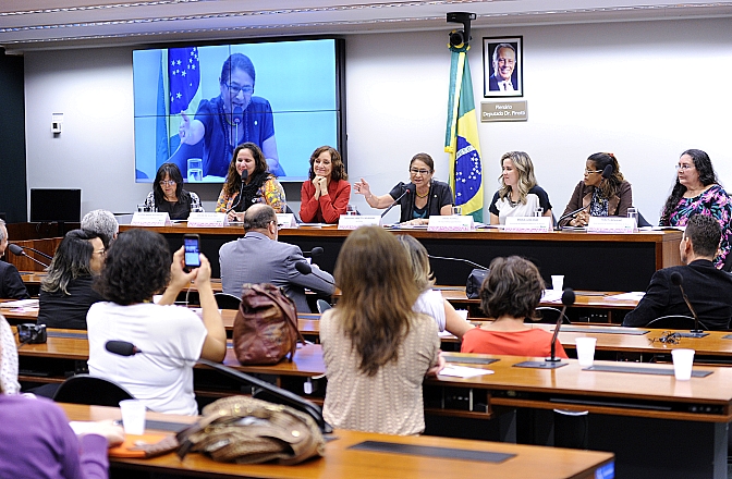 Trabalho de parteiras tradicionais precisa ser reconhecido, concluem participantes de audiência