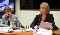 Comissão participa de audiência pública sobre direito das mulheres à cidade
