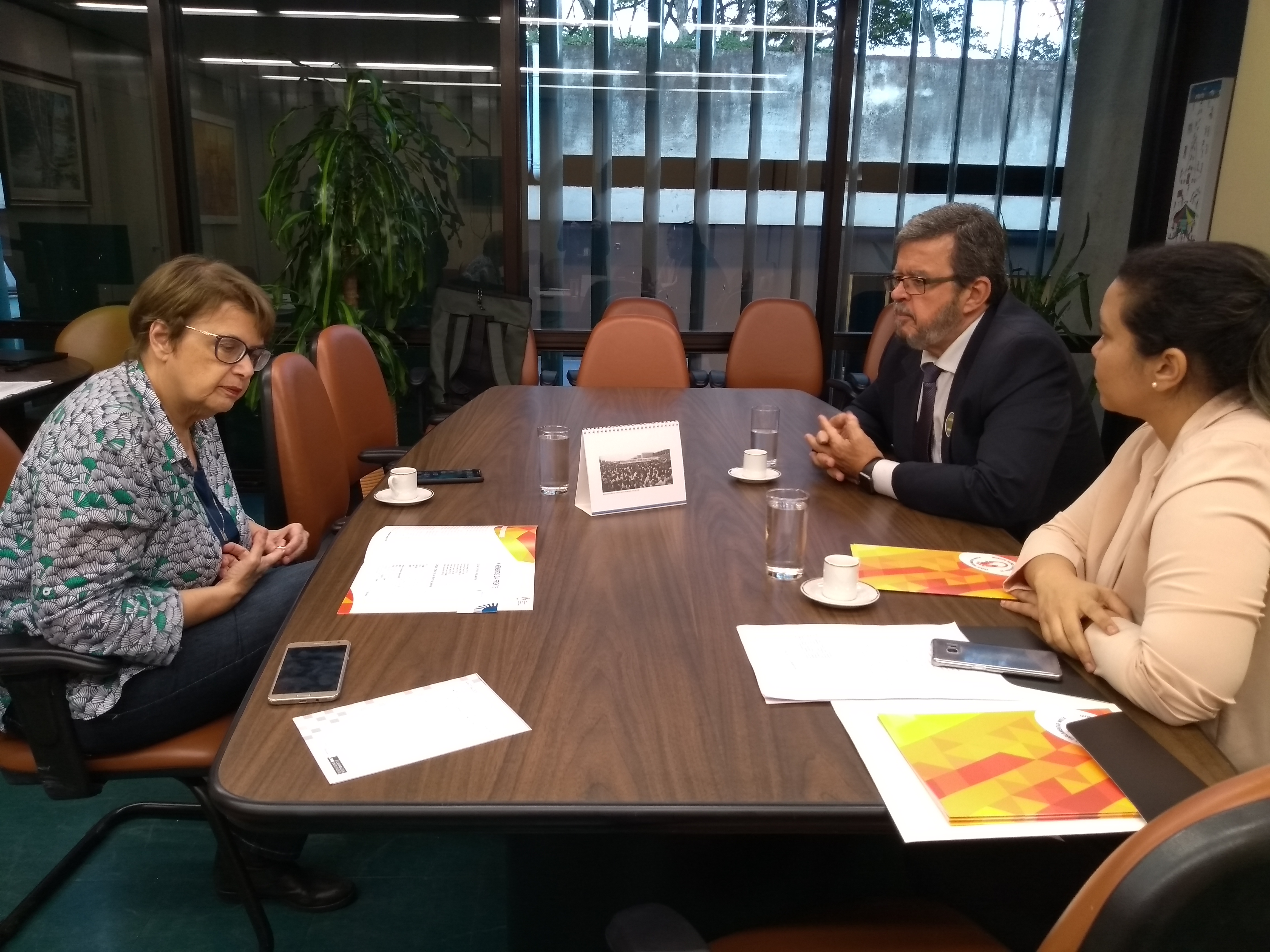 Deputada Margarida Salomão recebe integrantes da Frente Parlamentar Mista de Segurança Contra Incêndio