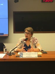 Margarida Salomão é eleita presidenta da Comissão de Desenvolvimento Urbano (CDU)