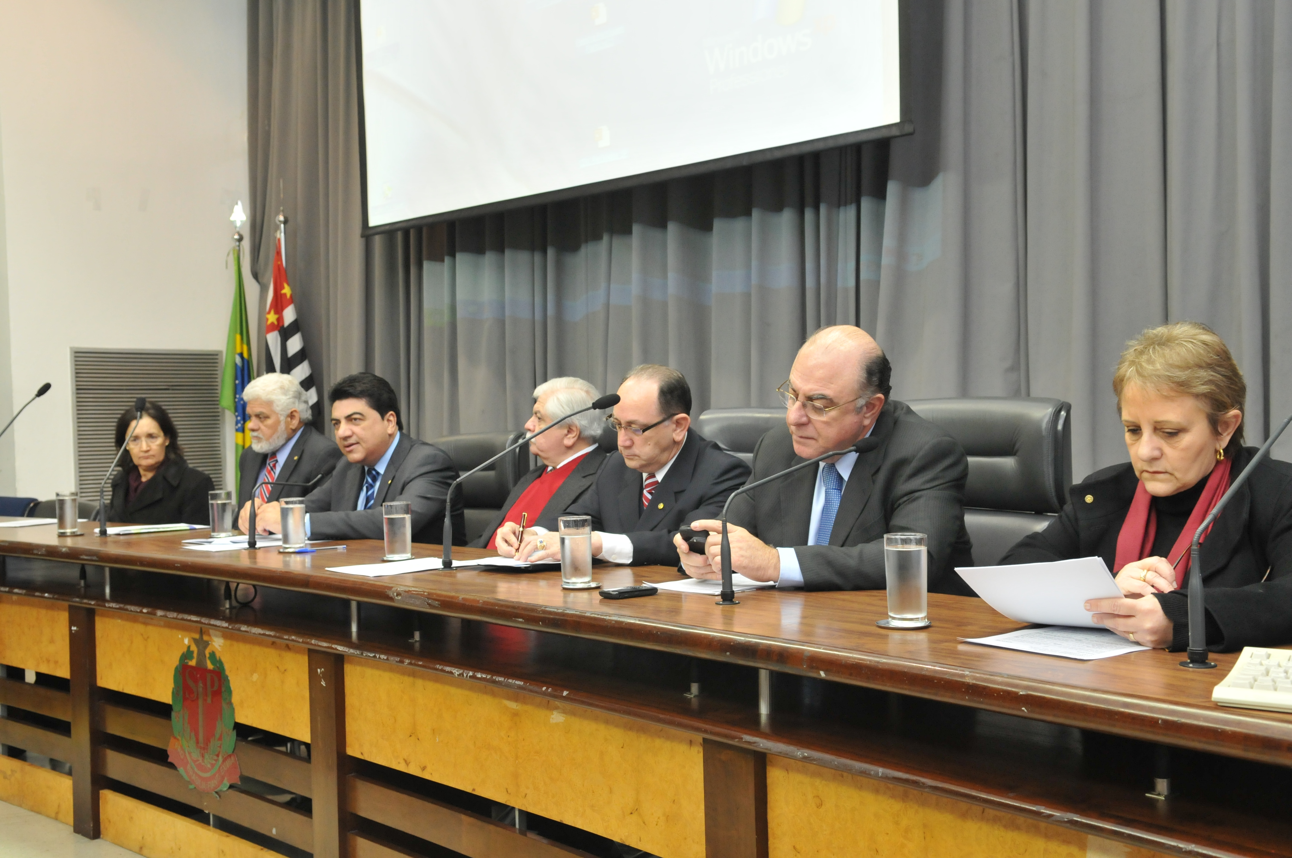 Seminário preparatório de São Paulo abre espaço para a participação popular