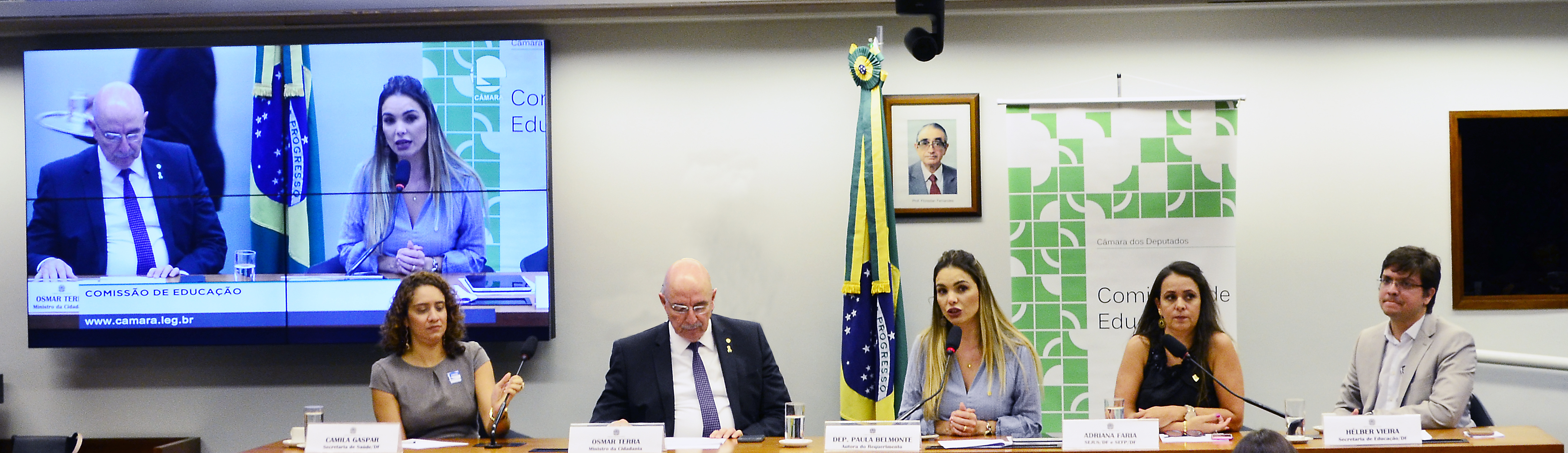 Apresentações da audiência pública, em 05/09/19, sobre o tema Intersetorialidade das políticas públicas da primeira infância