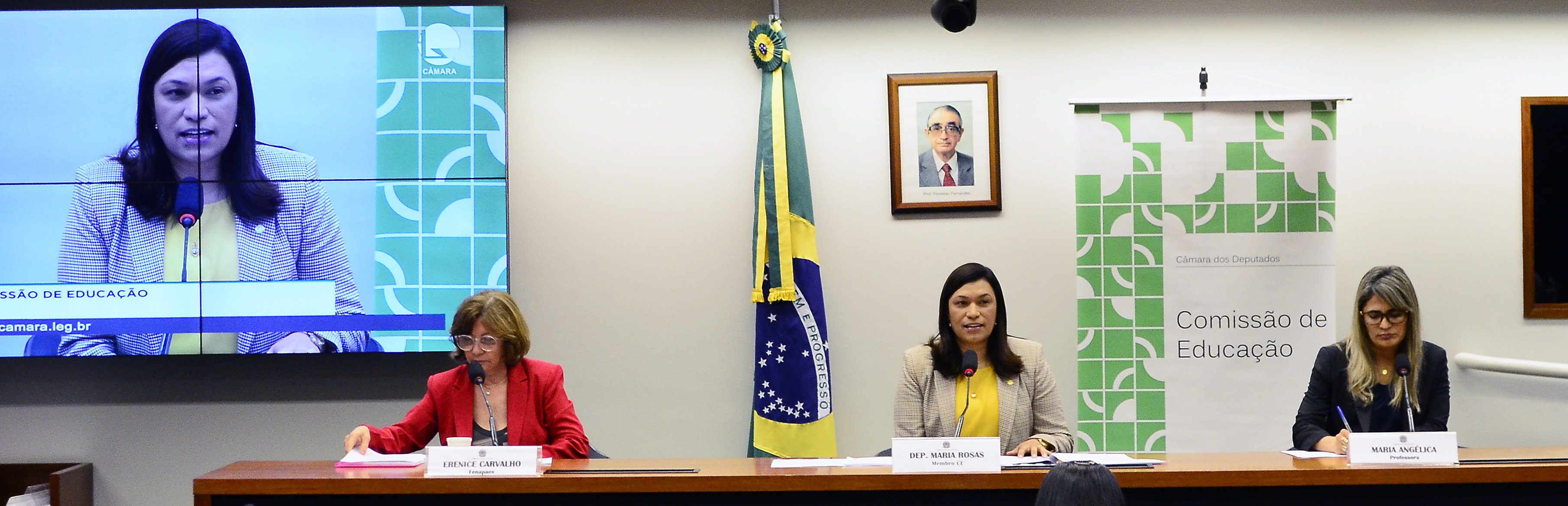 Audiência Pública, dia 21/11/19, sobre o tema: Atendimento Educacional Especializado - AEE