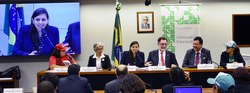 Audiência Pública, em 11/07/2019, sobre o tema: Programa Nacional de Educação na Reforma Agrária - Pronera