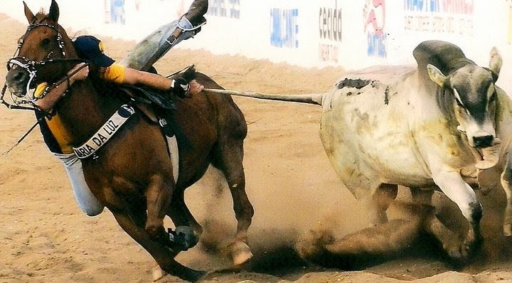 Vaquejada será debatida em audiência pública na Comissão do Esporte