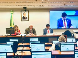 CFFC aprova Relatório Anual de Fiscalização e Controle 2025