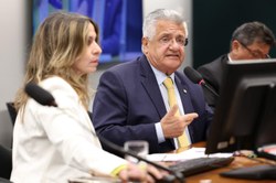 Comissão aprova plano estratégico e fortalece parceria com o TCU